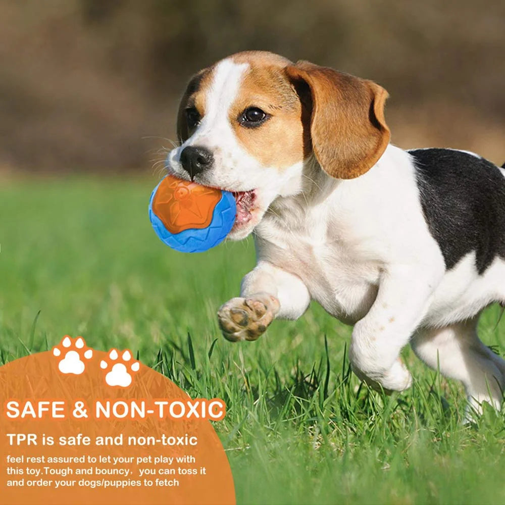 🐶 Juguete masticable con sonido para perros – Reduce el aburrimiento y protege tus cosas