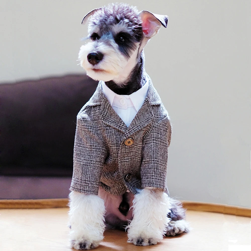 🐶 Traje elegante para perros tipo gentleman | Estilo formal cómodo y premium ⭐ 4.8/5 (1.200+ clientes)