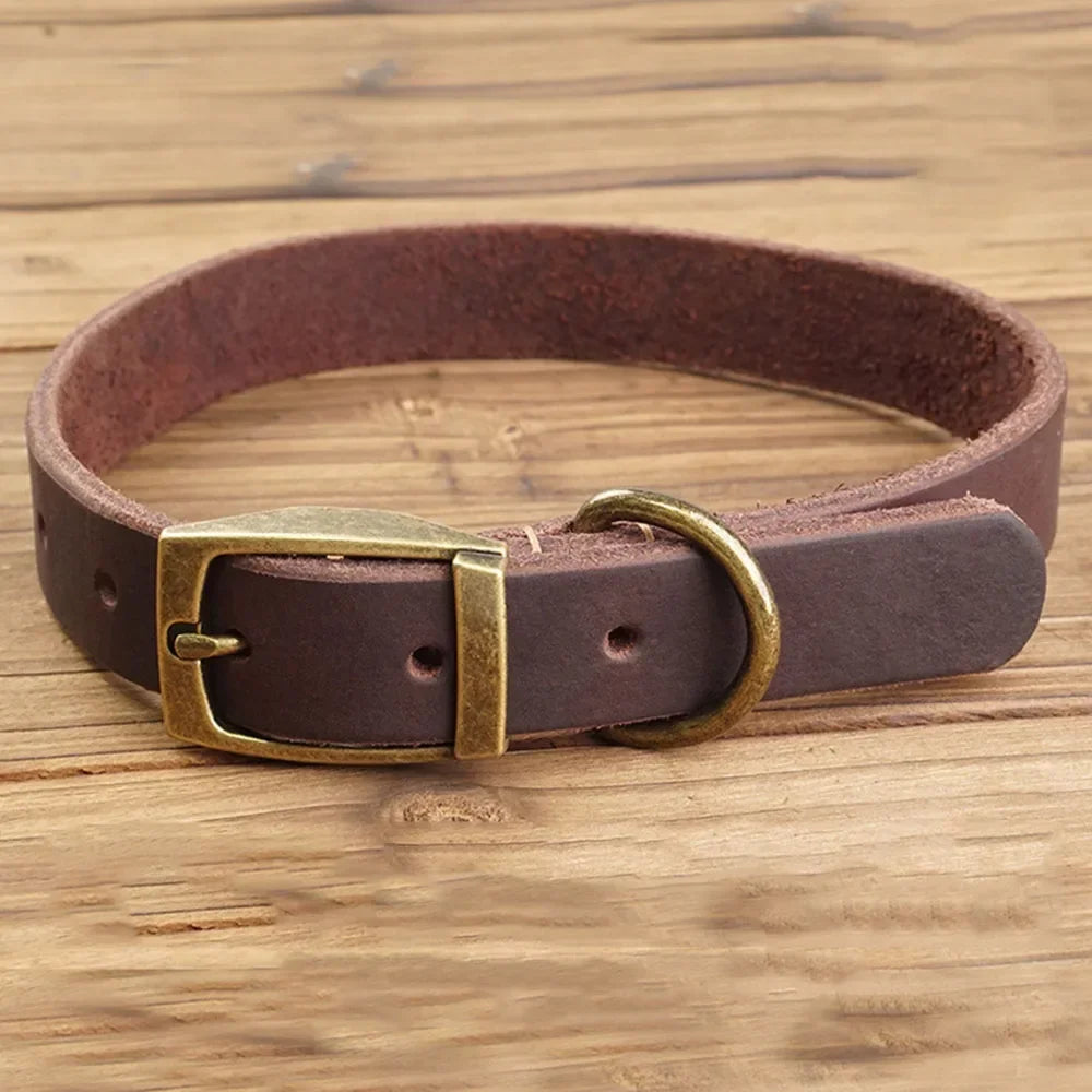 🐶 Collar de cuero para perros resistente y elegante – Control total con máxima comodidad