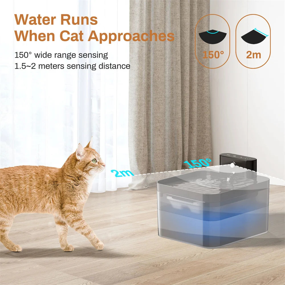 🐱 Fuente de agua automática para gatos con sensor | Inalámbrica, silenciosa y filtrada ⭐ 4.8/5 (2.000+ clientes)