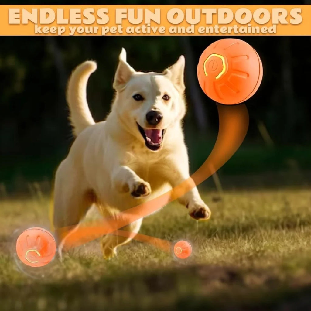 🐶 Pelota interactiva automática para perros – Juega solo y reduce el aburrimiento
