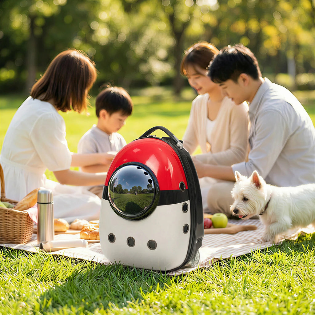 2 in 1 Cat Carrier Backpack Suitcase for Cats Dogs Small Puppy Outdoor Breathable Knapsack for Hiking Traveling