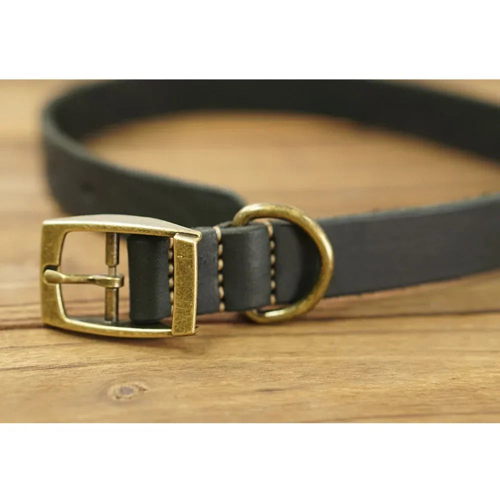 🐶 Collar de cuero para perros resistente y elegante – Control total con máxima comodidad