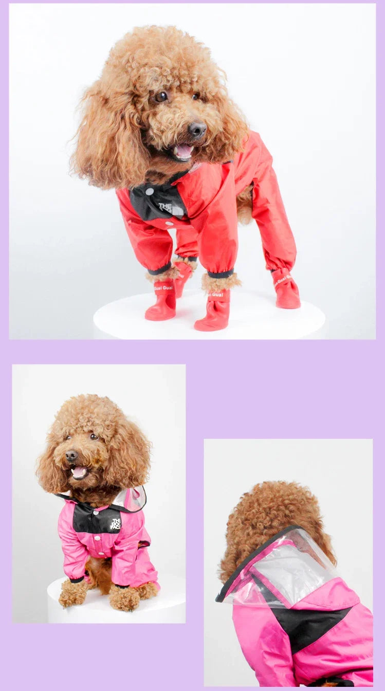 🐶 Impermeable para perros con protección total – Mantén a tu mascota seca incluso bajo la lluvia