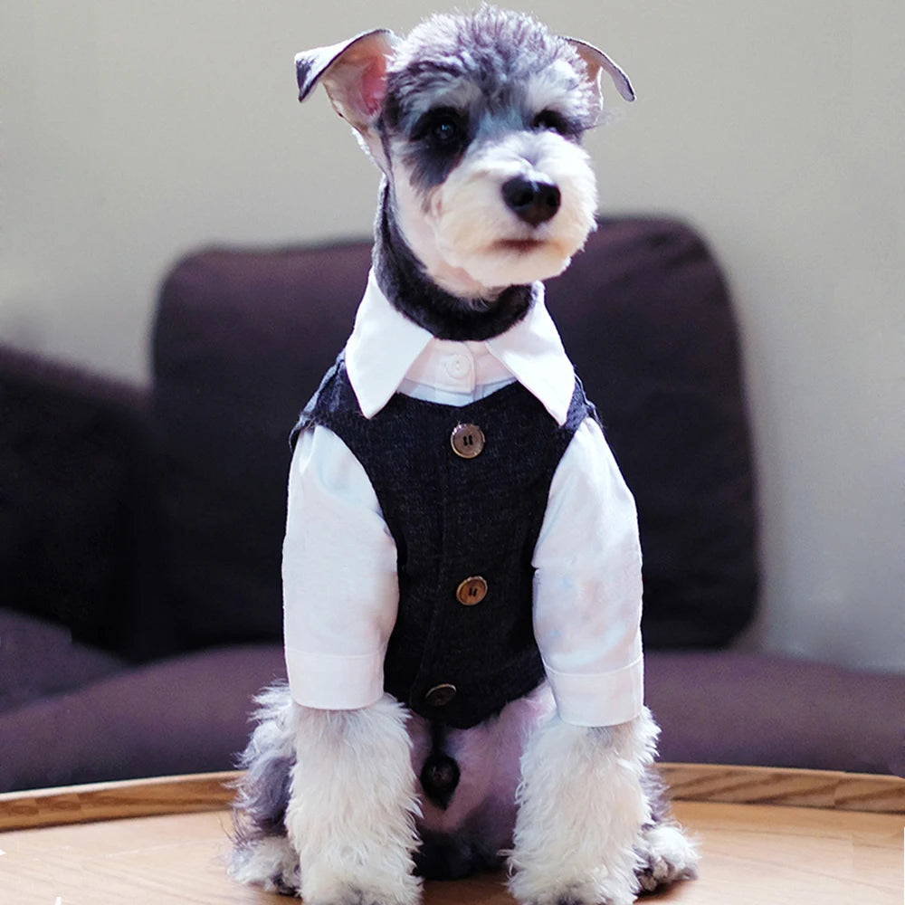 🐶 Traje elegante para perros tipo gentleman | Estilo formal cómodo y premium ⭐ 4.8/5 (1.200+ clientes)