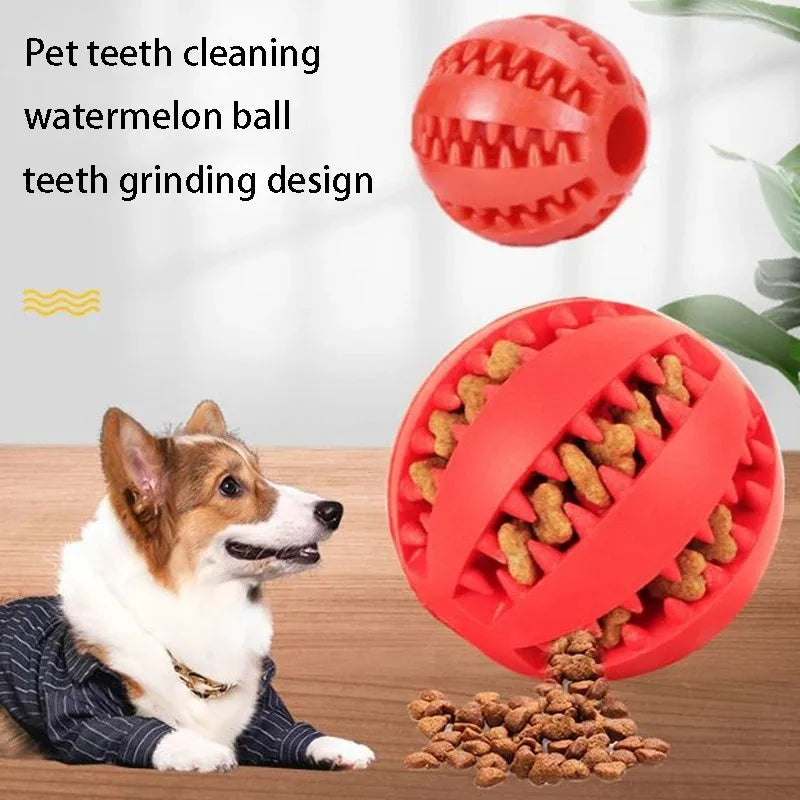 🐶 Juguete interactivo para perros resistente – Reduce el estrés y evita comportamientos destructivos
