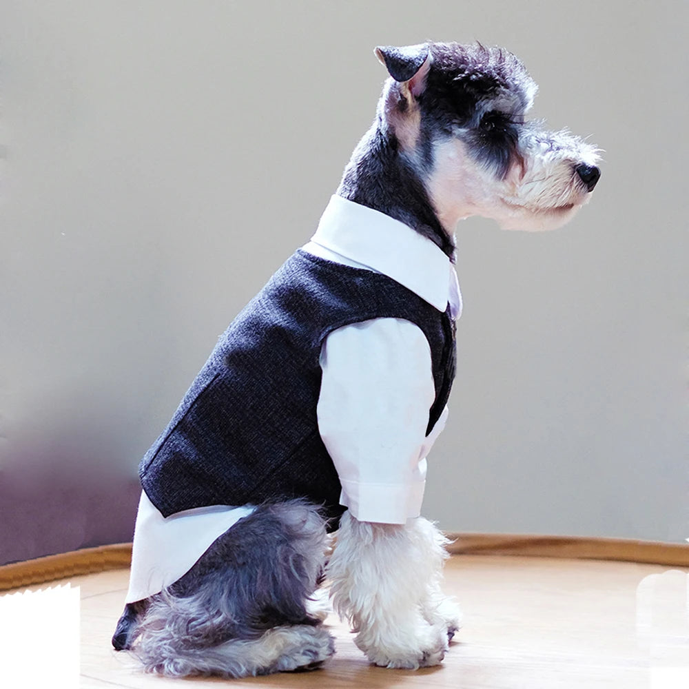 🐶 Traje elegante para perros tipo gentleman | Estilo formal cómodo y premium ⭐ 4.8/5 (1.200+ clientes)