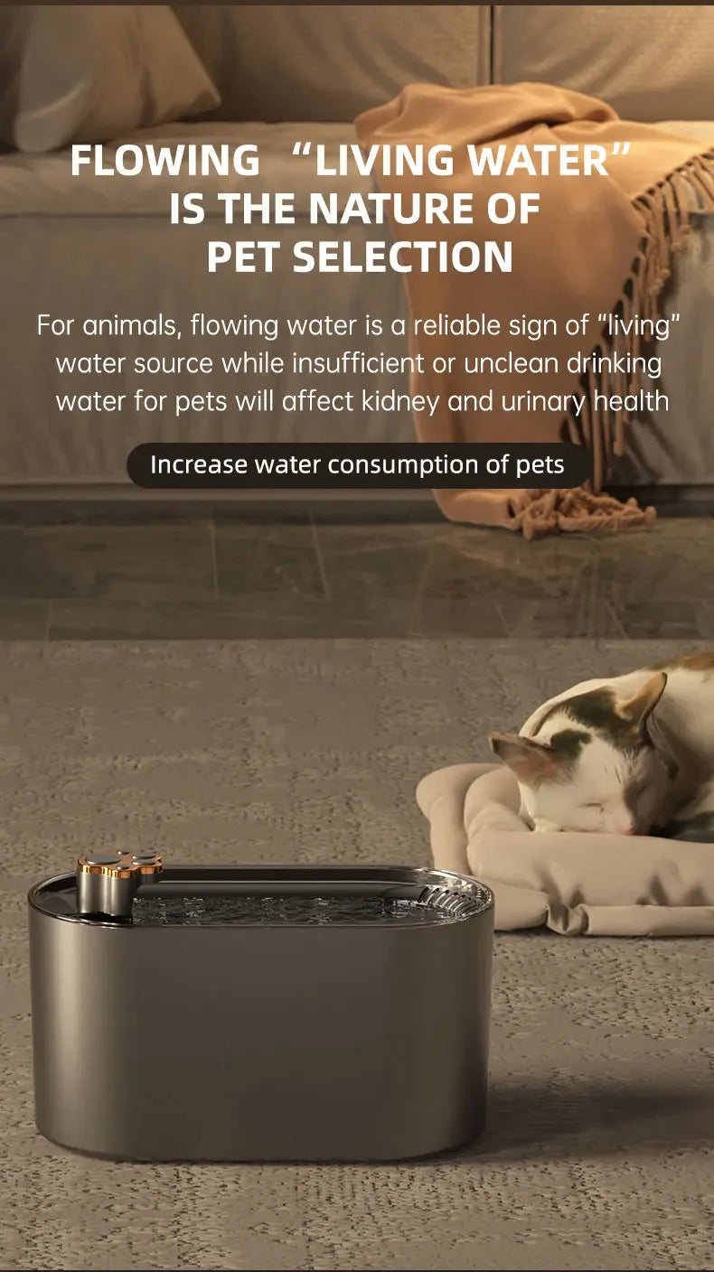 3L Automatic Cat Water Fountain Large Capacity Silent Pet Water Dispenser Circulating Filter Kitten Drinking Feeder Pet Supplies