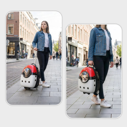 2 in 1 Cat Carrier Backpack Suitcase for Cats Dogs Small Puppy Outdoor Breathable Knapsack for Hiking Traveling