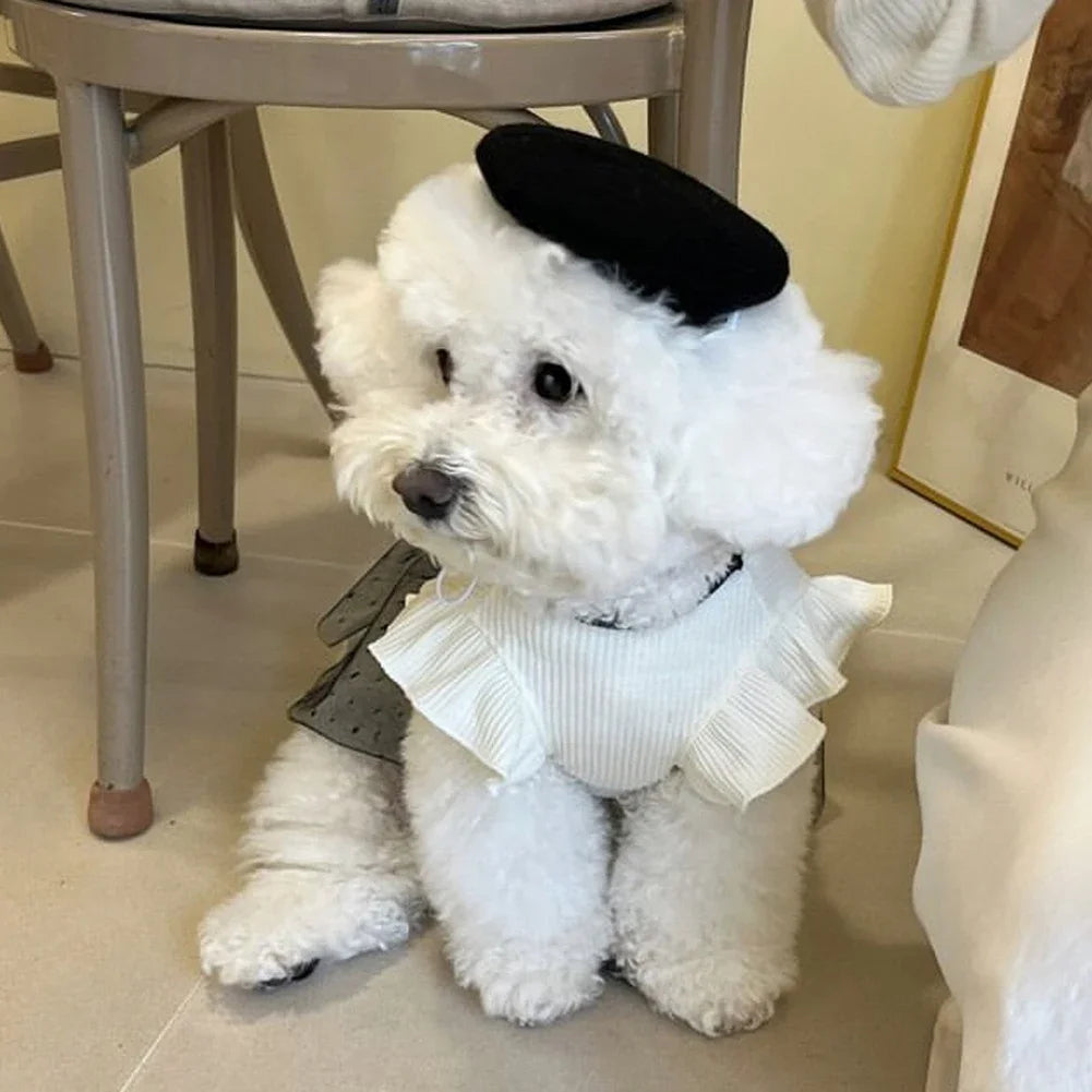 Dog Dress for Small Dogs Luxury Summer Puppy Clothes Bow Lace Dog Skirt Black White Dog T Shirt Girls Dog Costume Chihuahua Vest