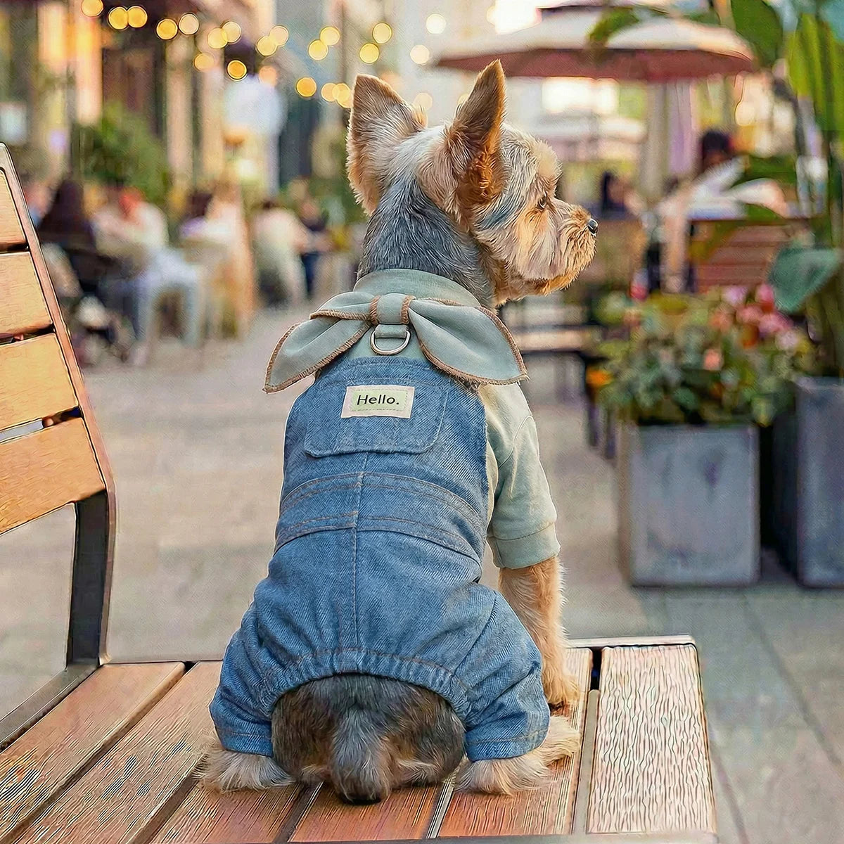 🐶 Ropa vaquera para perros estilo overall | Cómoda, transpirable y look moderno ⭐ 4.8/5 (1.200+ clientes)