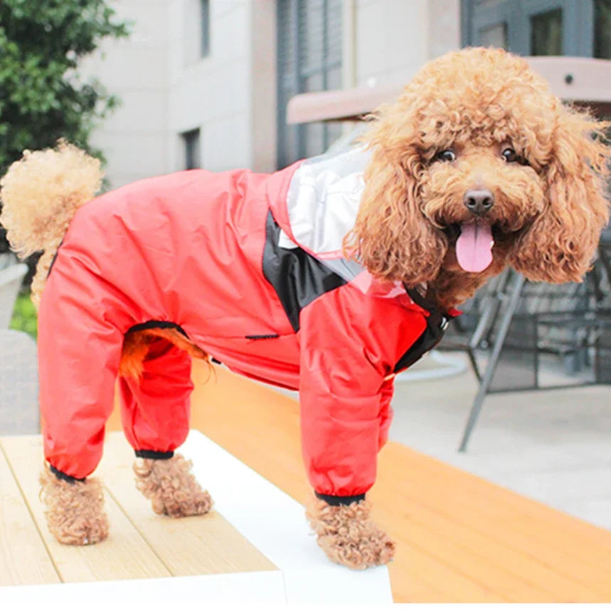 🐶 Impermeable para perros con protección total – Mantén a tu mascota seca incluso bajo la lluvia