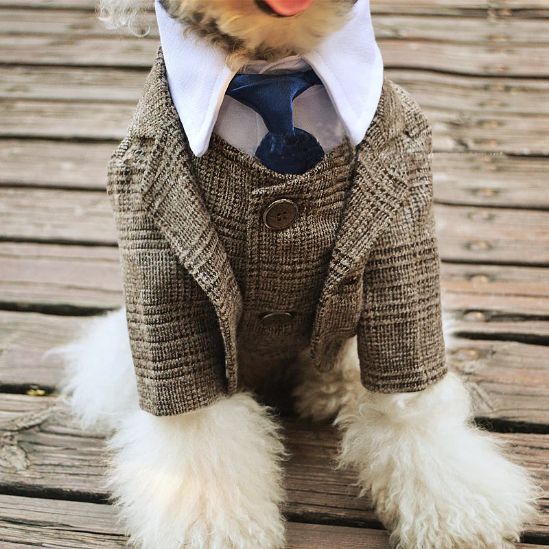 🐶 Traje elegante para perros tipo gentleman | Estilo formal cómodo y premium ⭐ 4.8/5 (1.200+ clientes)