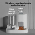 🐱 Comedero automático para gatos con dispensador de agua | Práctico, limpio y gran capacidad ⭐ 4.7/5 (1.100+ clientes)