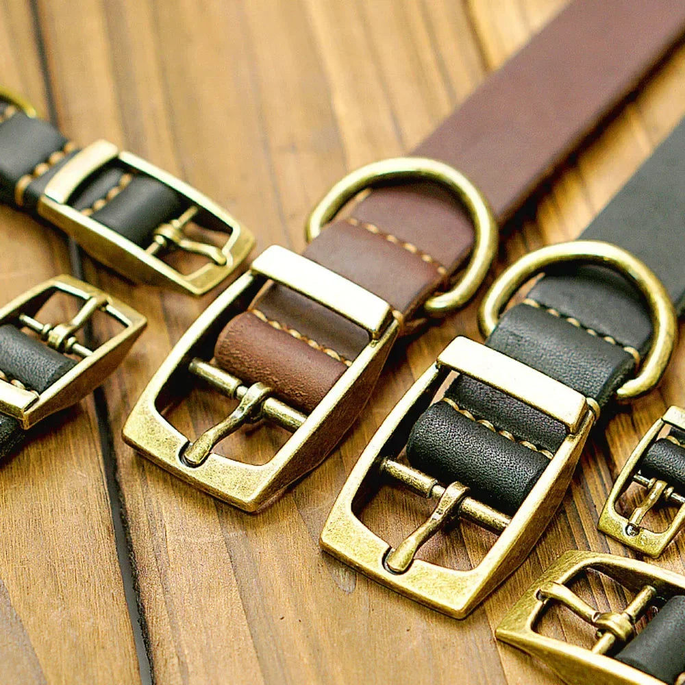 🐶 Collar de cuero para perros resistente y elegante – Control total con máxima comodidad