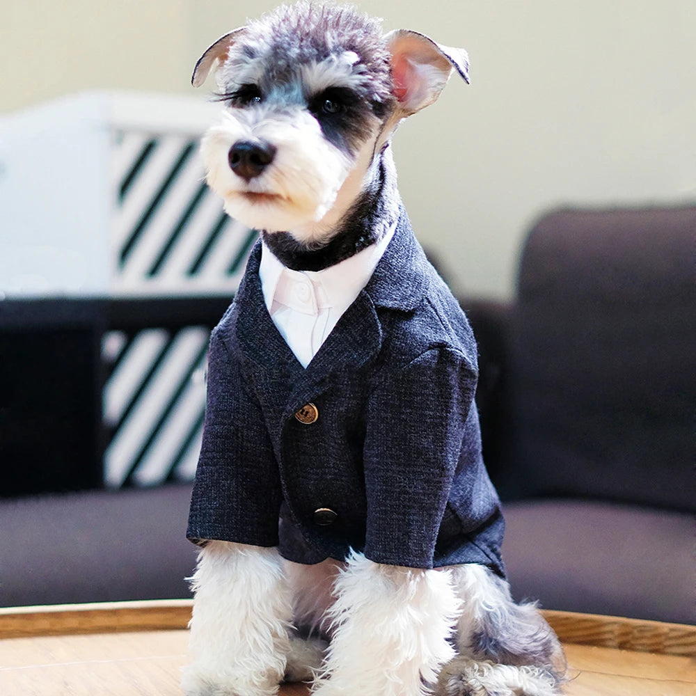 🐶 Traje elegante para perros tipo gentleman | Estilo formal cómodo y premium ⭐ 4.8/5 (1.200+ clientes)