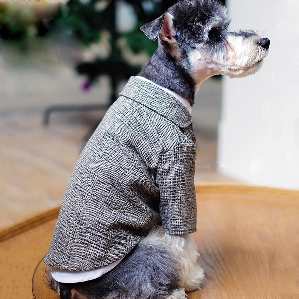 🐶 Traje elegante para perros tipo gentleman | Estilo formal cómodo y premium ⭐ 4.8/5 (1.200+ clientes)