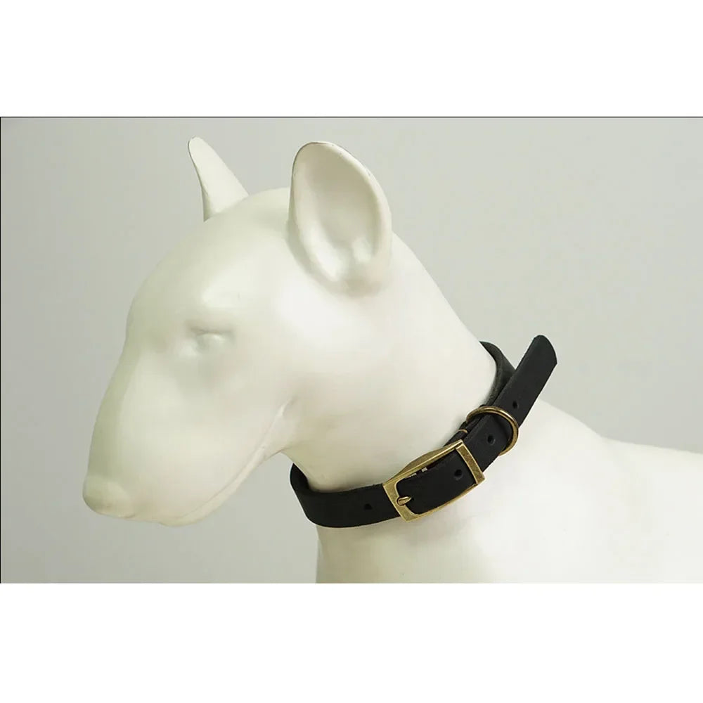 🐶 Collar de cuero para perros resistente y elegante – Control total con máxima comodidad