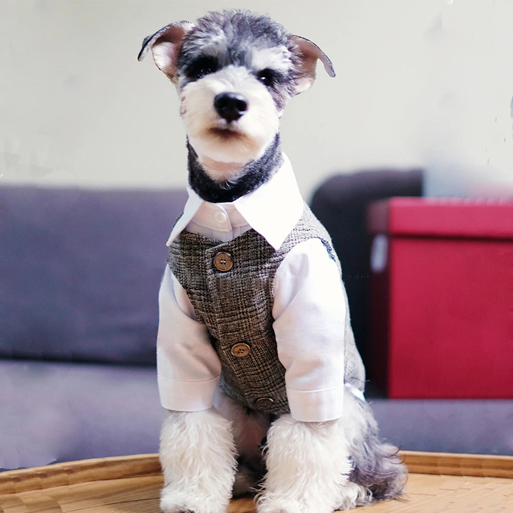 🐶 Traje elegante para perros tipo gentleman | Estilo formal cómodo y premium ⭐ 4.8/5 (1.200+ clientes)