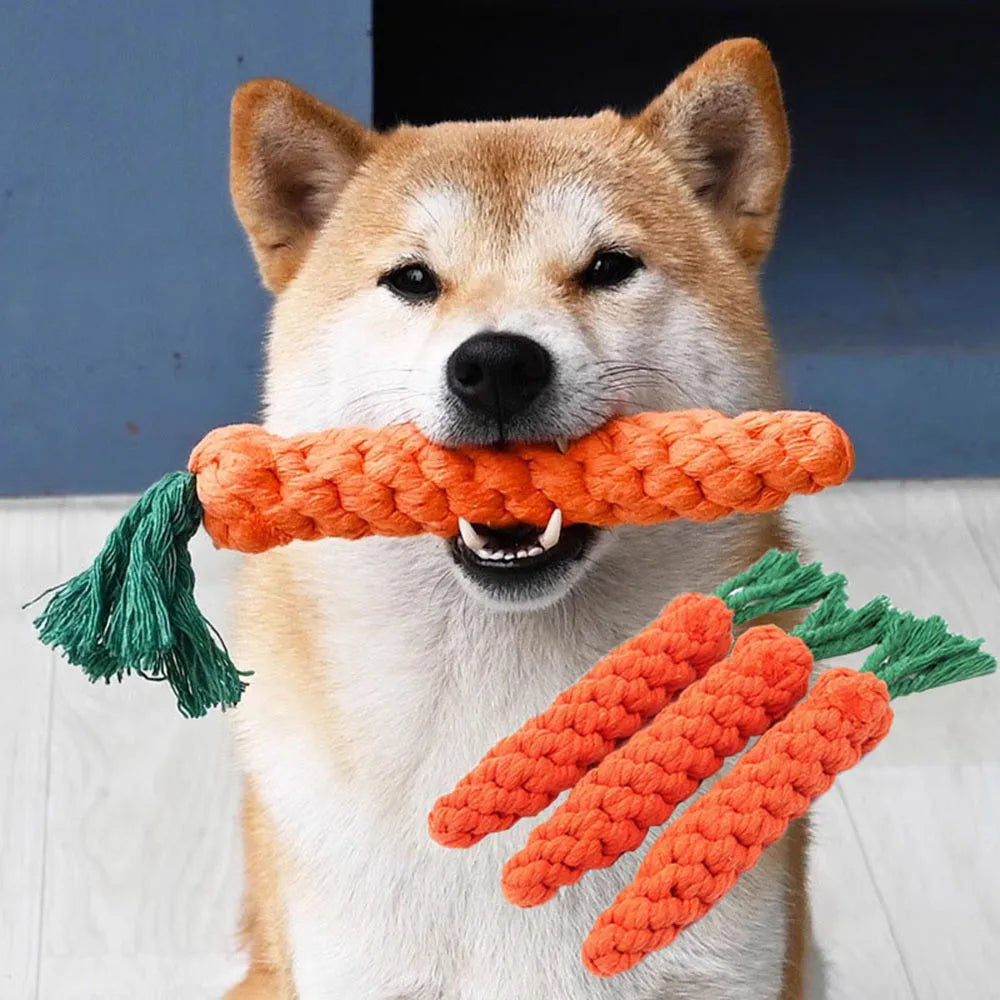 🐶 Juguete de cuerda para perros en forma de zanahoria – Limpieza dental y entretenimiento