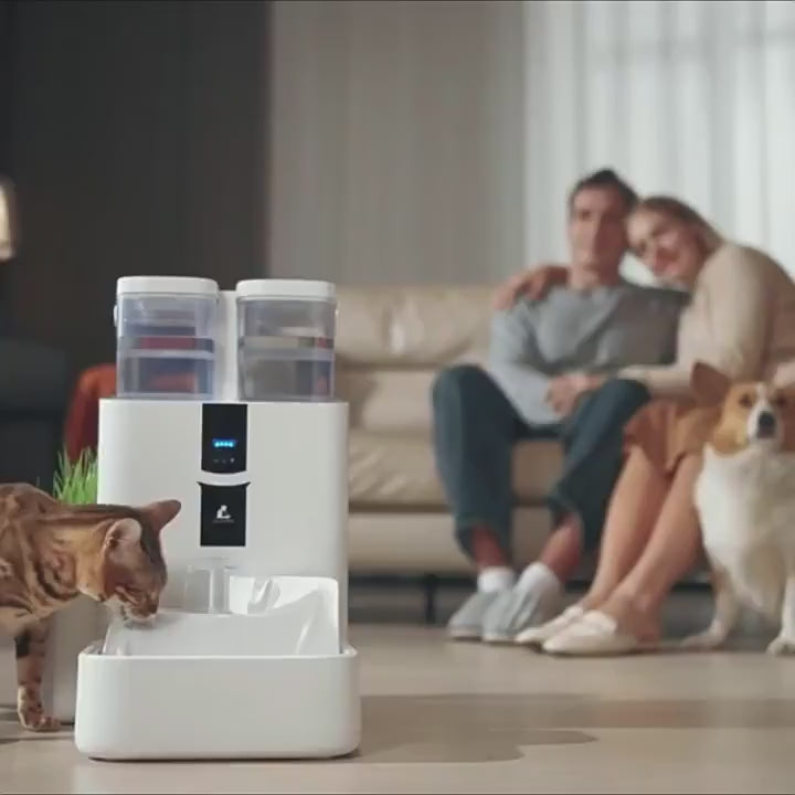 Fuente de Agua Inteligente para Gatos 10L con WiFi – Automática y Autolimpieza 🐱